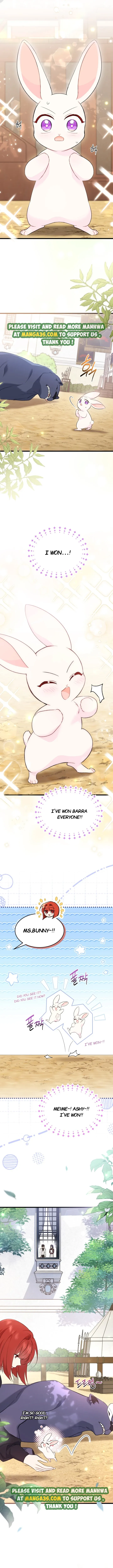 The Symbiotic Relationship Between the Rabbit and the Black Panther Chapter 83 - Page 2
