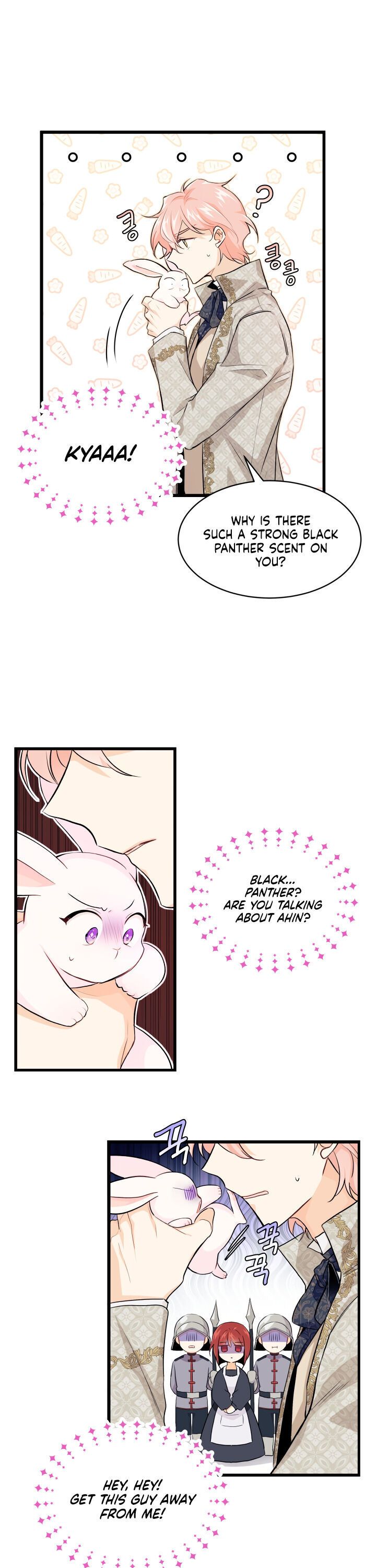 The Symbiotic Relationship Between the Rabbit and the Black Panther Chapter 9 - Page 2