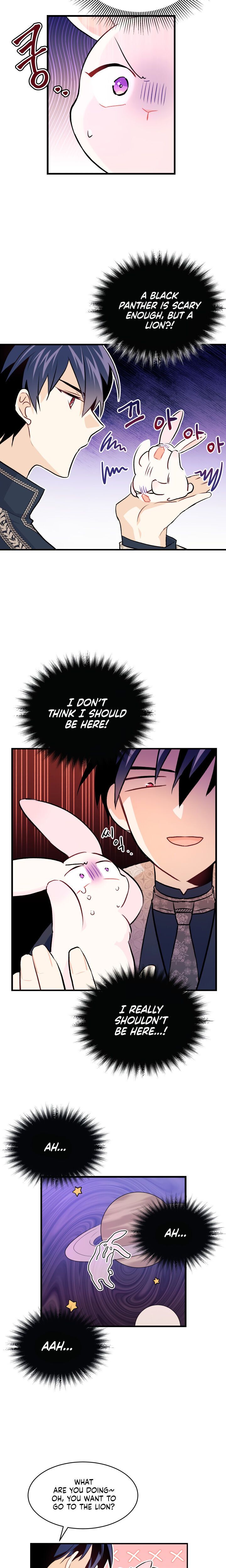 The Symbiotic Relationship Between the Rabbit and the Black Panther Chapter 9 - Page 9