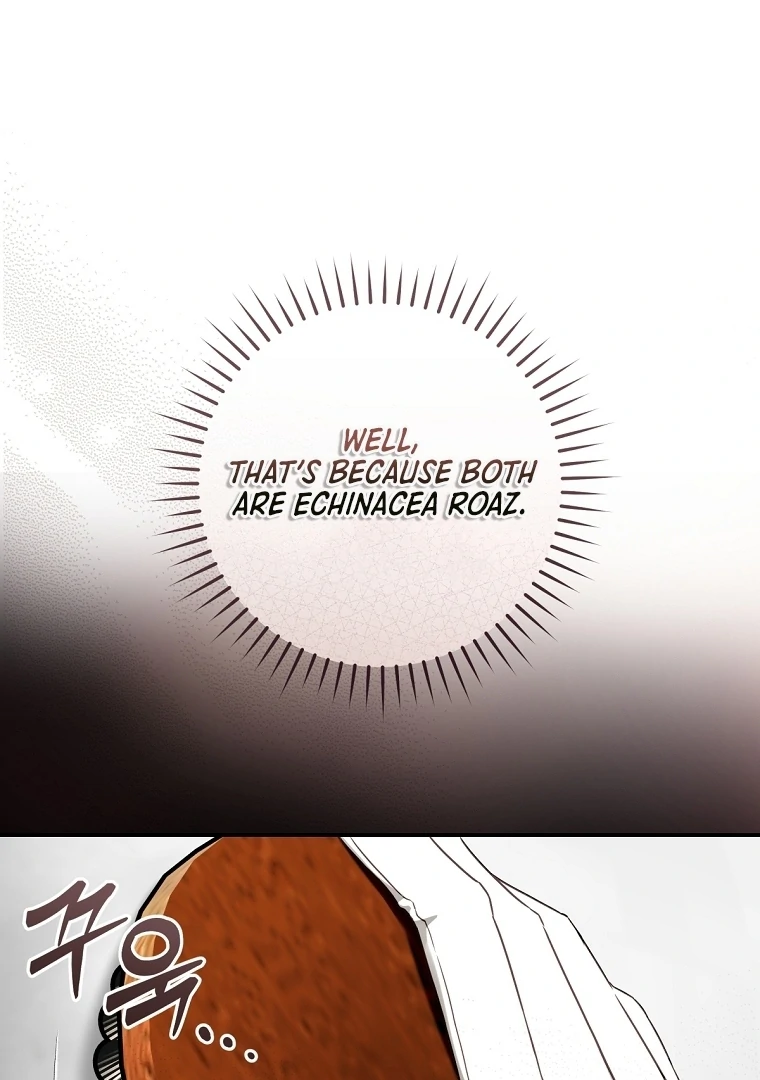 The Flower Who Bears The Sword Chapter 12 - Page 36
