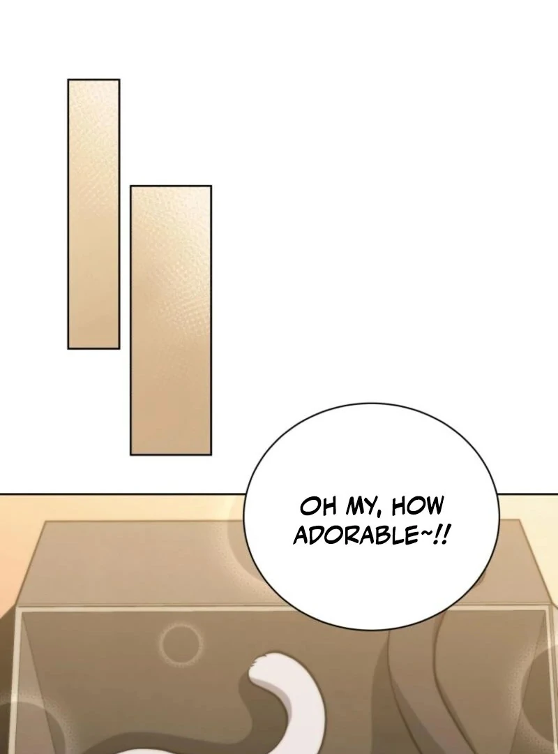 Necromancer Academy and the Genius Summoner Chapter 201 - Page 22