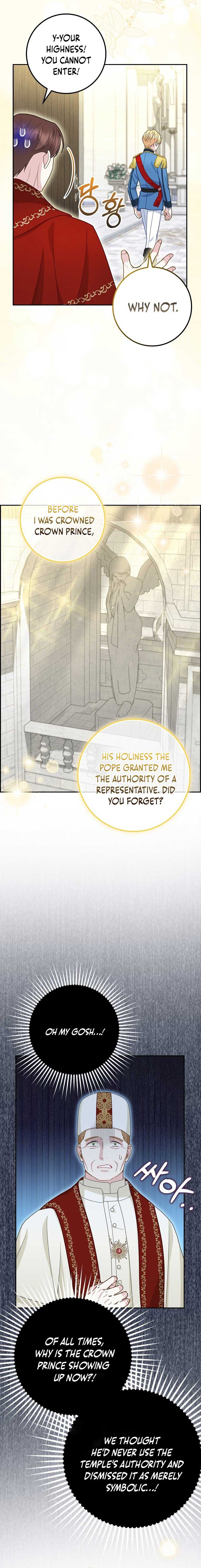 Baby Snow Leopard of the Black Leopard Family Chapter 17 - Page 19