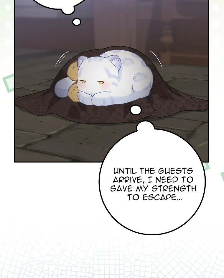 Baby Snow Leopard of the Black Leopard Family Chapter 2 - Page 27