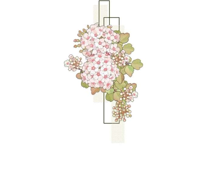 Overstepping Kiss Chapter 31 - Page 5