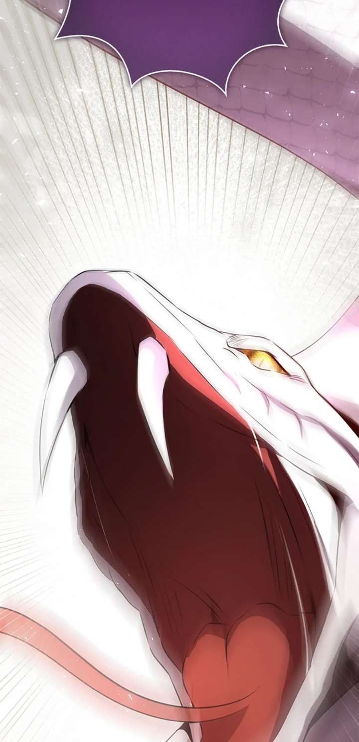 Talented baby squirrel Chapter 117 - Page 74