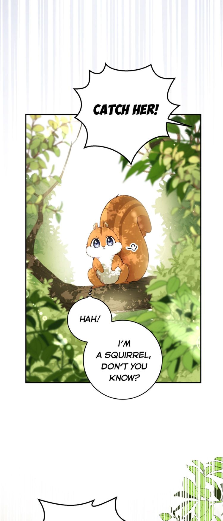 Talented baby squirrel Chapter 2.5 - Page 28