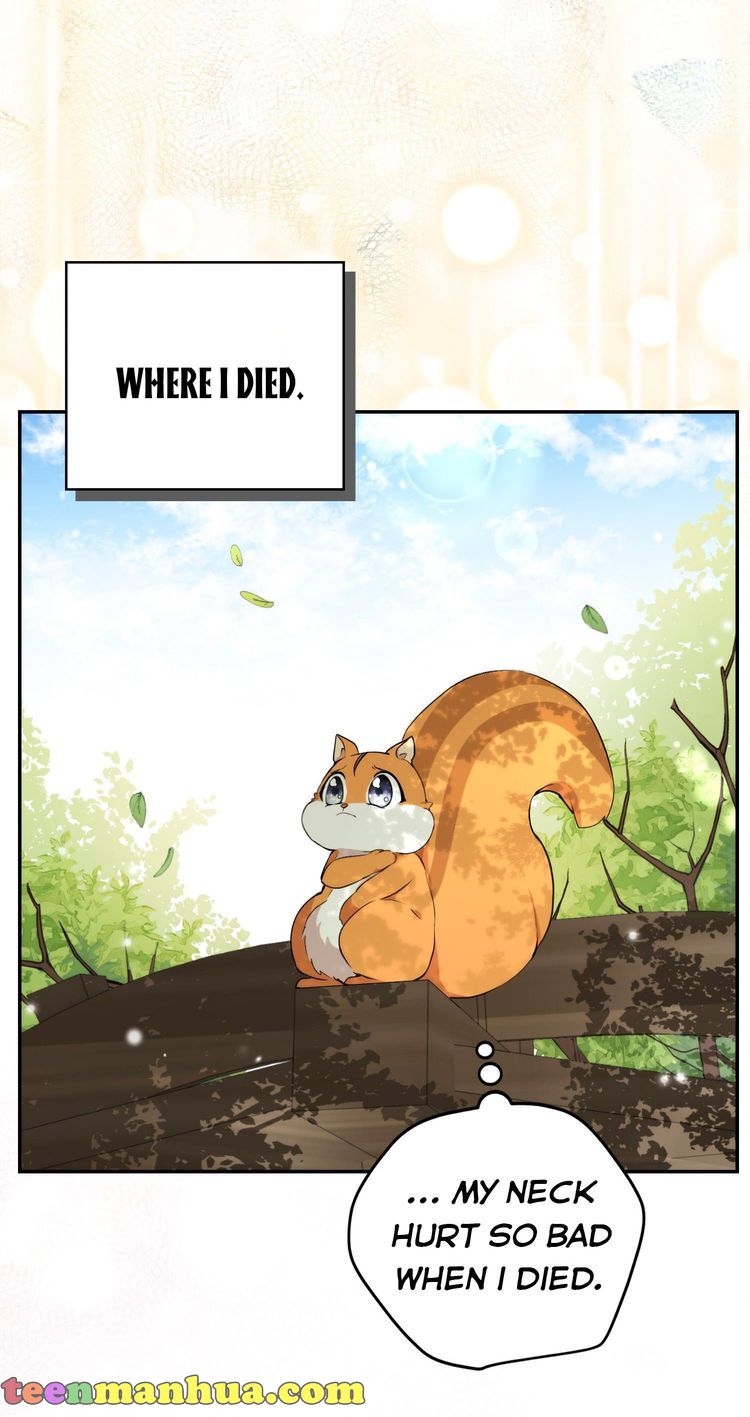 Talented baby squirrel Chapter 2.5 - Page 38