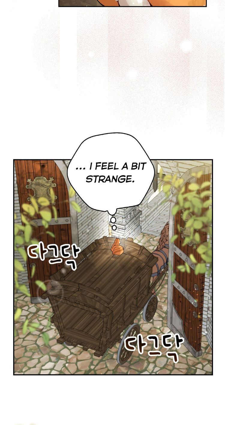 Talented baby squirrel Chapter 2.5 - Page 40