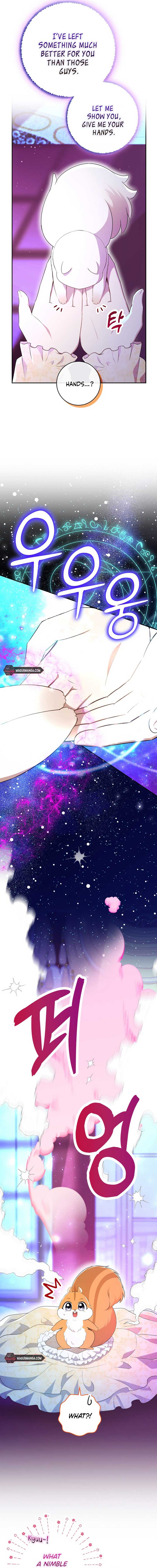 Talented baby squirrel Chapter 74 - Page 4